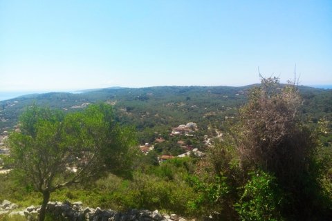 5500m² Land en Corfu, Greece No. 59138 3