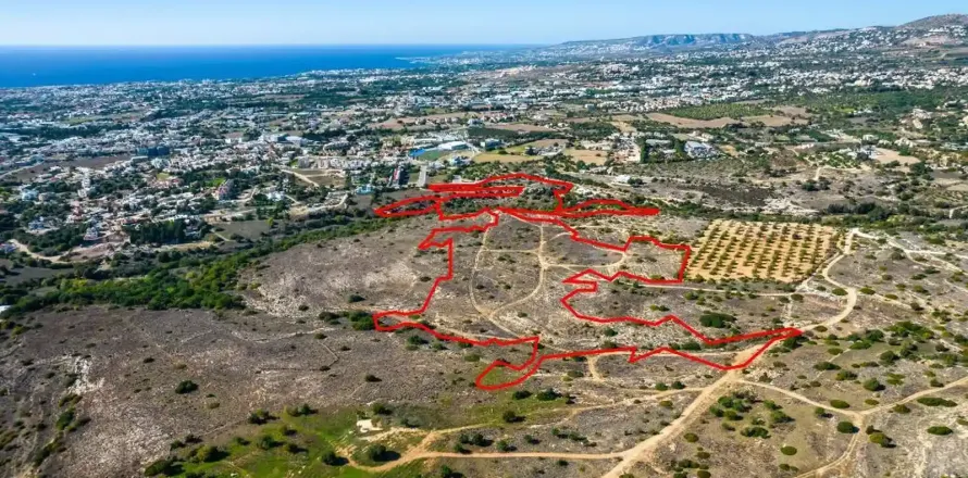 100406m² Land in Paphos, Cyprus No. 41539