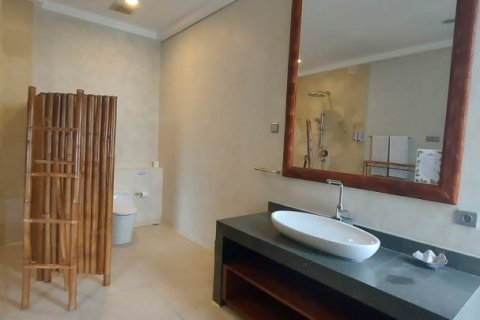 2 bedrooms Villa in Nusa Dua, Indonesia No. 23195 12