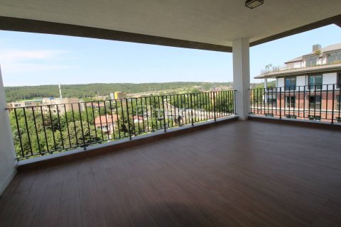 5+1 Penthouse en Istanbul, Turkey No. 11664 26