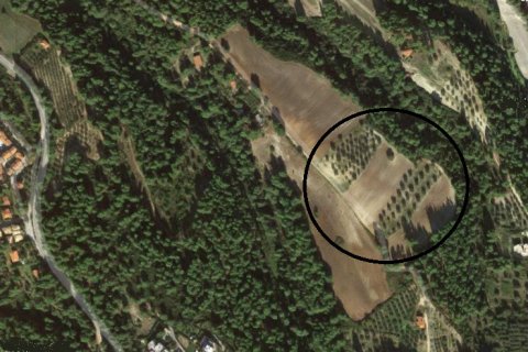 34000m² Land en Chalkidiki, Greece No. 57442 1