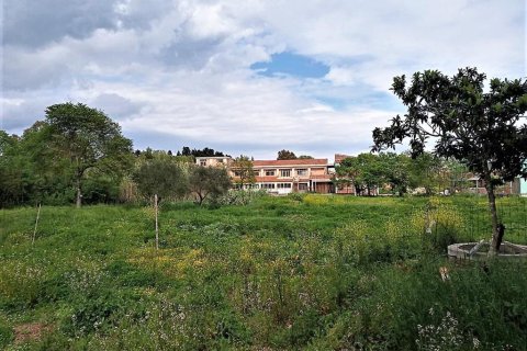 800m² Land en Corfu, Greece No. 57436 1