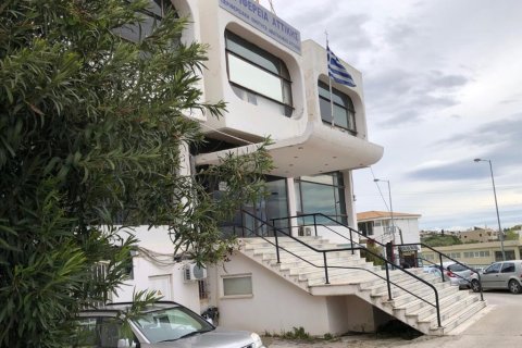 10000m² Business in Pallini, Greece No. 57444 4