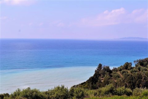 12000m² Land in Corfu, Greece No. 57435 5