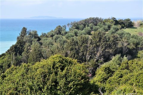 12000m² Land in Corfu, Greece No. 57435 16