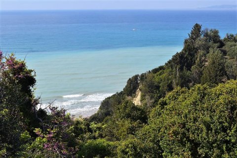 12000m² Land in Corfu, Greece No. 57435 15