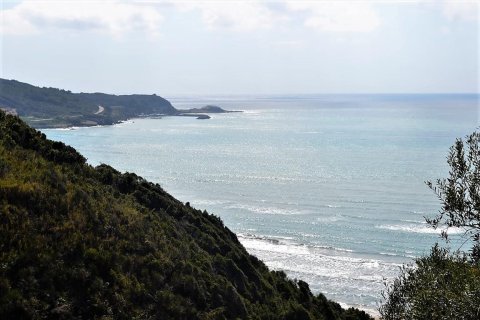 12000m² Land en Corfu, Greece No. 57435 3