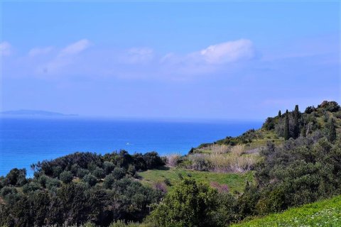 12000m² Land in Corfu, Greece No. 57435 6