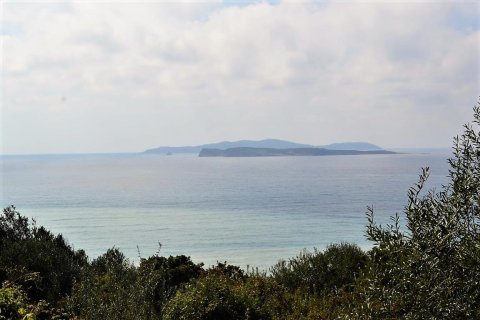 12000m² Land in Corfu, Greece No. 57435 7