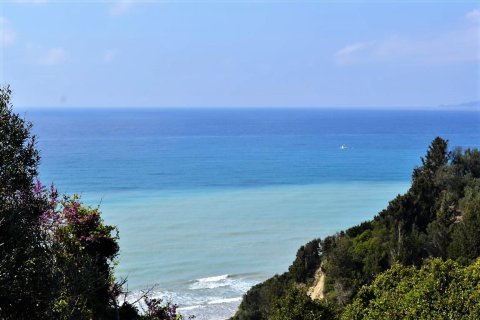 12000m² Land in Corfu, Greece No. 57435 2