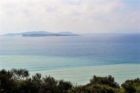 12000m² Land in Corfu, Greece No. 57435 1