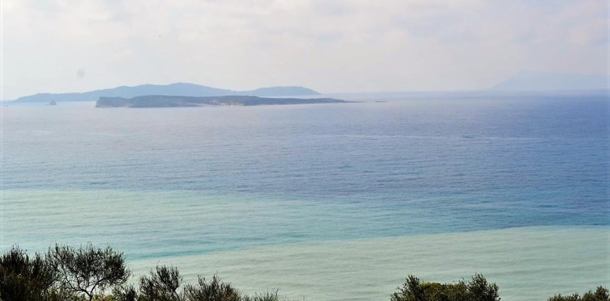 12000m² Land en Corfu, Greece No. 57435