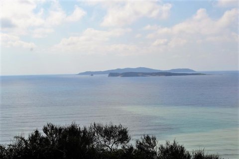 12000m² Land in Corfu, Greece No. 57435 9