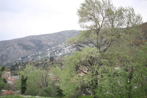 3617m² Land in Magnesia, Greece No. 57440 1