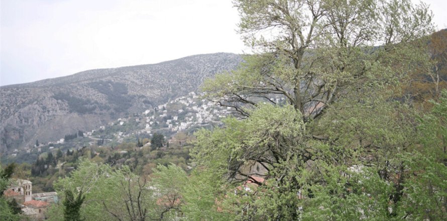 3617m² Land in Magnesia, Greece No. 57440