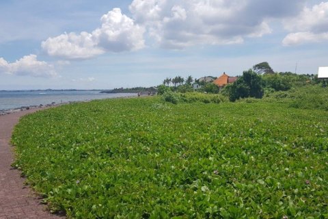 Land in Canggu, Indonesia No. 22973 1