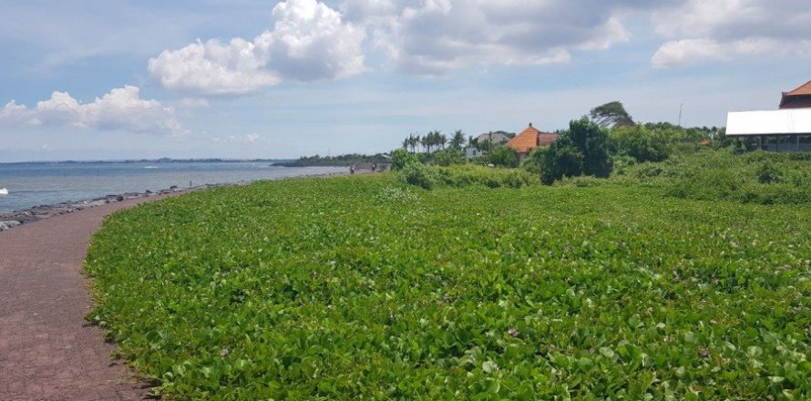 Land en Canggu, Indonesia No. 22973