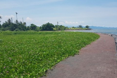 Land en Canggu, Indonesia No. 22973 3