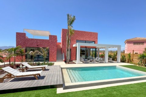 4 chambres Villa à La Algarrobina, Spain No. 90545 28