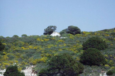 Land in Kefalonia, Greece No. 28139 4