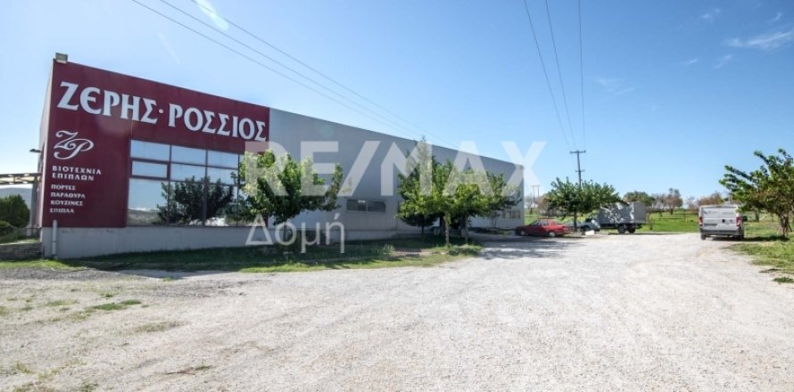 620m² Land in Magnesia, Greece No. 27985