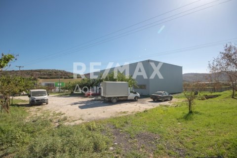 620m² Land in Magnesia, Greece No. 27985 8