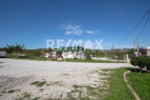 620m² Land in Magnesia, Greece No. 27985 13