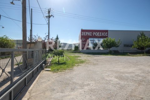 620m² Land in Magnesia, Greece No. 27985 2