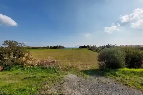 6066m² Land in Mazotos, Cyprus No. 41815 1