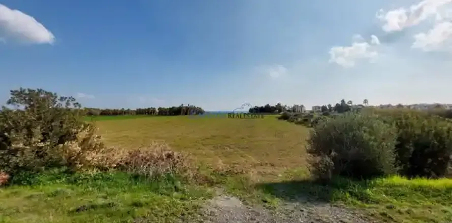 6066m² Land à Mazotos, Cyprus No. 41815