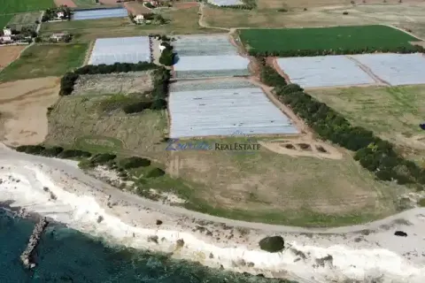 10368m² Land à Mazotos, Cyprus No. 41816 1