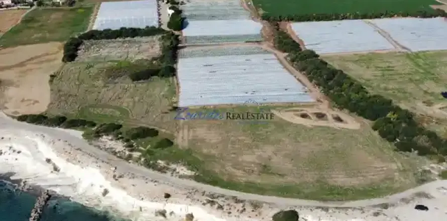 10368m² Land in Mazotos, Cyprus No. 41816