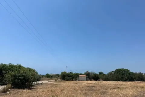 9564m² Land en Kissonerga, Cyprus No. 41820 2