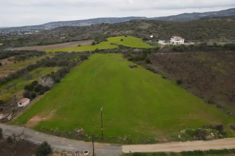 9564m² Land à Kissonerga, Cyprus No. 41820 6