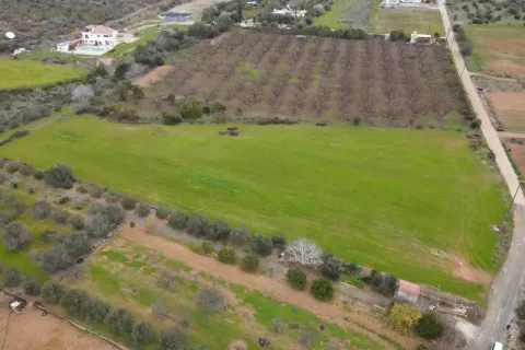 9564m² Land à Kissonerga, Cyprus No. 41820 3