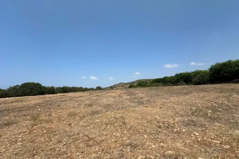 9564m² Land à Kissonerga, Cyprus No. 41820 1