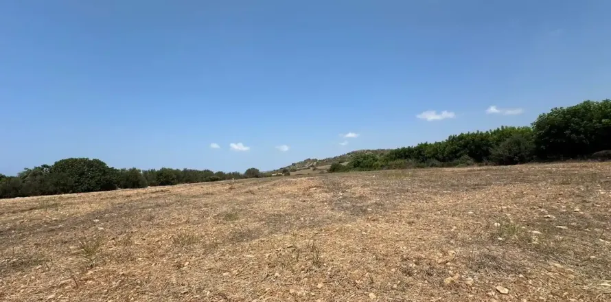 9564m² Land en Kissonerga, Cyprus No. 41820