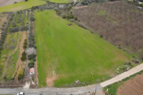 9564m² Land in Kissonerga, Cyprus No. 41820 4