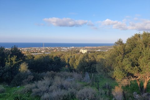 375000m² Land in Malia, Greece No. 55634 3