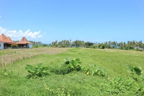 Land à Cemagi, Indonesia No. 22865 3