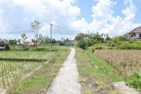 Land en Cemagi, Indonesia No. 22865 2