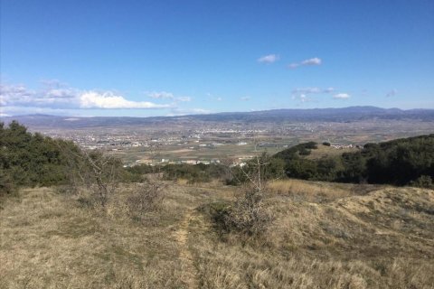 6500m² Land in Chortiatis, Greece No. 58346 1