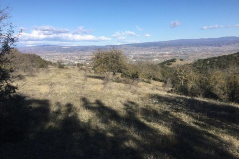 6500m² Land in Chortiatis, Greece No. 58346 5