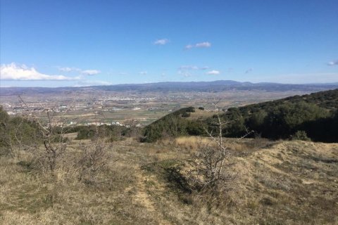 6500m² Land in Chortiatis, Greece No. 58346 2