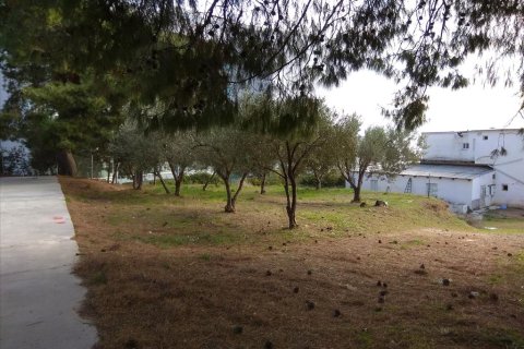 900m² Land in Polygyros, Greece No. 58347 2