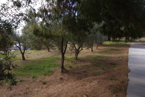 900m² Land en Polygyros, Greece No. 58347 3