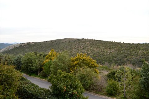 5 chambres House à Rafina, Greece No. 58301 27