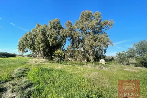 2 dormitorios Villa en Ayia Napa, Cyprus No. 29646 6