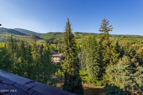 4 chambres Copropriété  à Vail, USA No. 62076 8