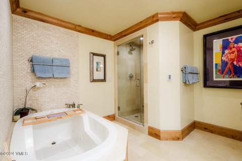 4 chambres Copropriété  à Vail, USA No. 62076 13